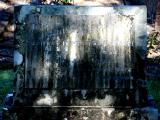 image of grave number 782709
